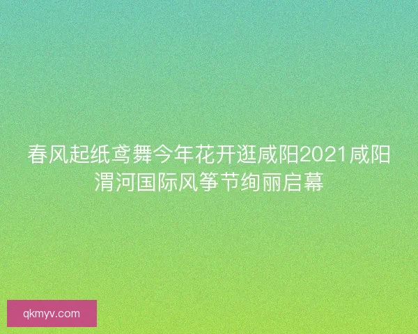 春风起纸鸢舞今年花开逛咸阳2021咸阳渭河国际风筝节绚丽启幕